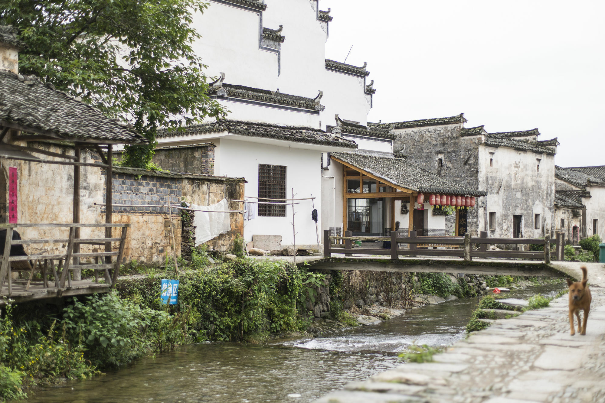 반얀 트리 호텔 황산 황 산 외부 사진